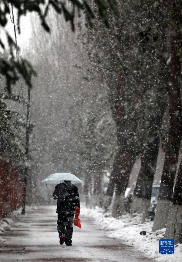 沈阳再迎降雪