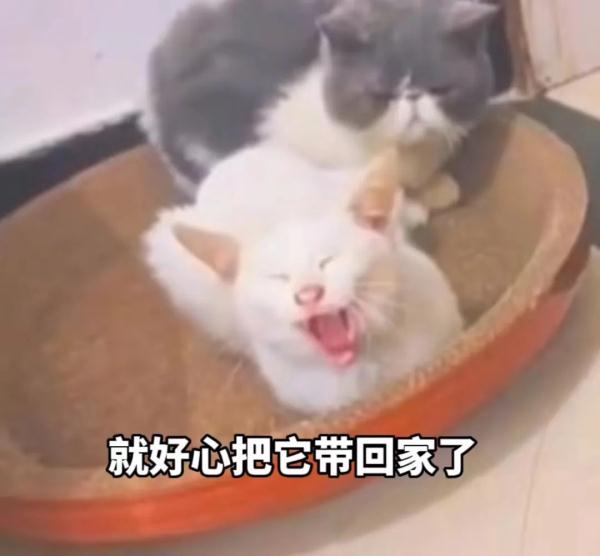 人间清醒!刷屏热搜、当火炬手的他,又送起了外卖→ 人间清醒!刷屏热搜、当火炬手的他,又送起了外卖→