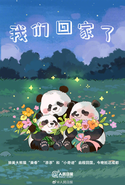 期待平安抵达！欢迎美香添添小奇迹回家