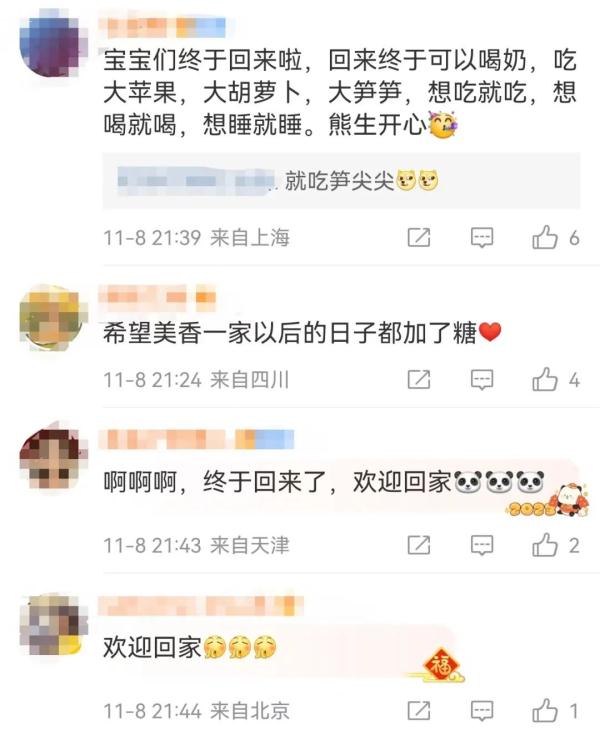 旅美大熊猫“美香”一家三口启程回国！“随身行李”曝光→
