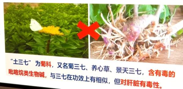 紧急提醒！最近昆明有医院已经连续接诊多例，这种东西太有迷惑性，千万不要吃！