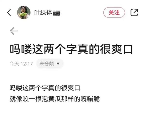 来合肥看“吗喽”