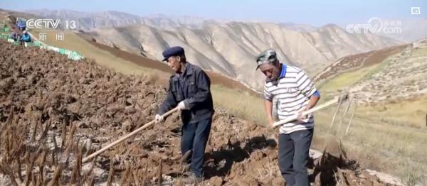 新农机、新技术、新模式助力希望的田野再添活力