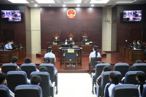 这种树不能砍！海南一男子被判1年6个月