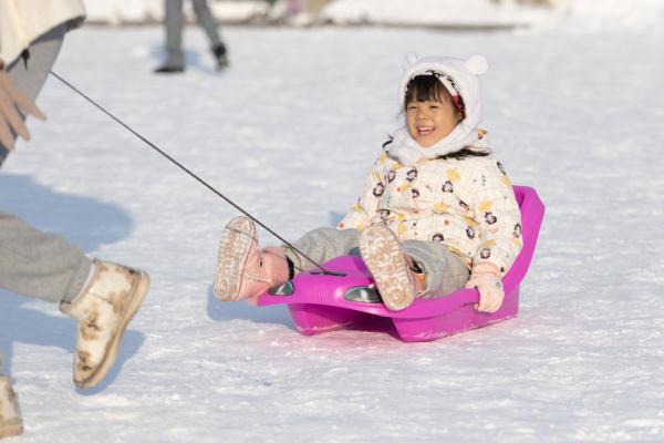 雪后冰城换上冬日银装
