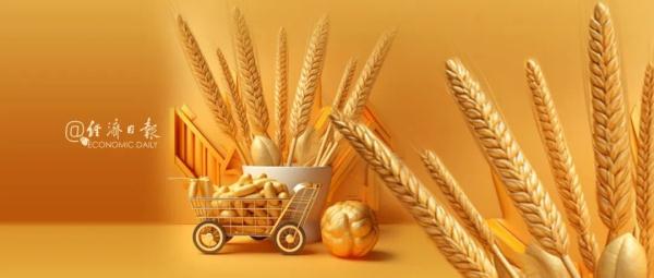 进口多元化确保粮食安全稳定