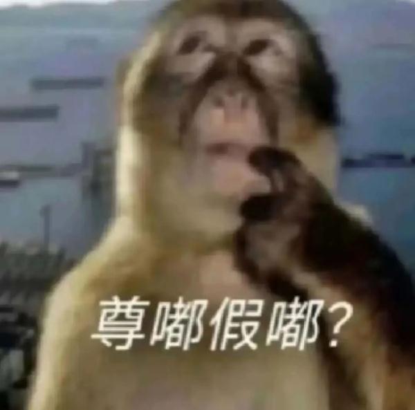 来合肥看“吗喽”