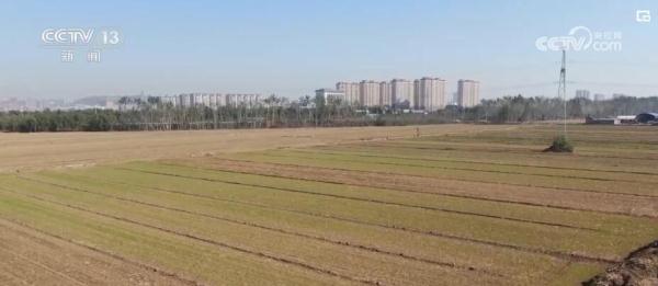 新农机、新技术、新模式助力希望的田野再添活力