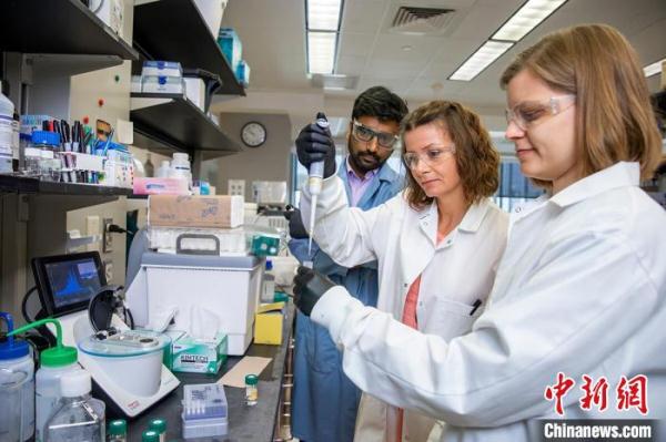 最新研究：改良抗真菌剂在实验中毒性降低 或增临床有效性安全性