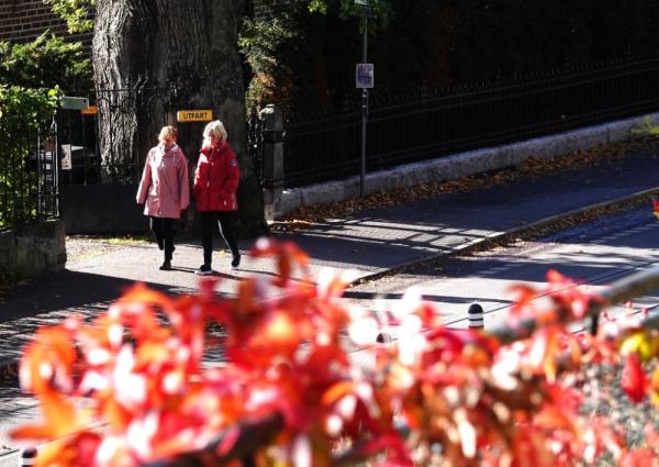 鼓励人际交往　瑞典小城发起“打招呼”活动