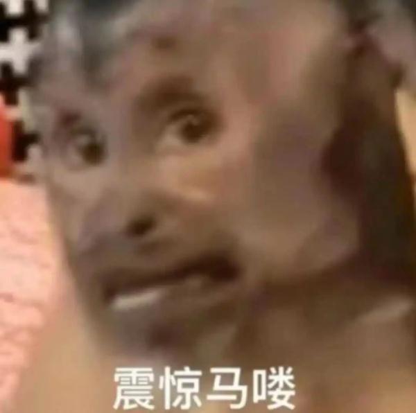 来合肥看“吗喽”