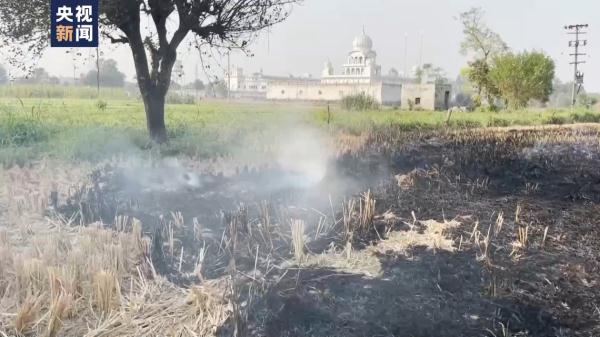 印度多地空气污染严重 北部多所学校已停课