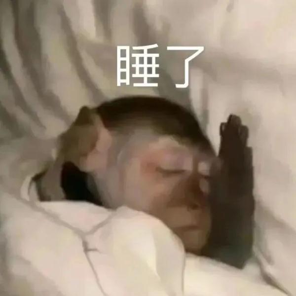 来合肥看“吗喽”