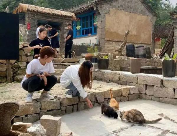 耶，你们这的村民怎么总“喵喵喵”！？年轻人回村后，神奇的事发生了