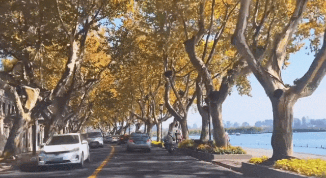 刚刚，杭州最新提醒：下午起局部大到暴雨！更糟心的还在后面...