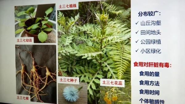 紧急提醒！最近昆明有医院已经连续接诊多例，这种东西太有迷惑性，千万不要吃！