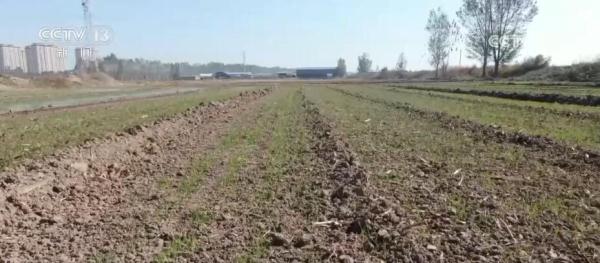 新农机、新技术、新模式助力希望的田野再添活力