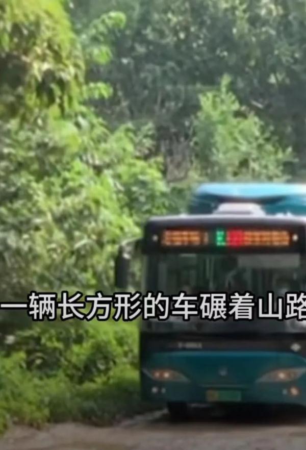 这可能是天花板级别的公交车!从市区开到大山,他们叫自己“老百姓的私家车” 这可能是天花板级别的公交车!从市区开到大山,他们叫自己“老百姓的私家车”
