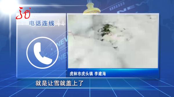 黑龙江一村民早上出门喂狗，发现只剩“狗头”......当地政府发布紧急通知！