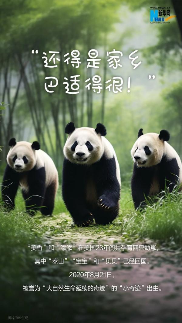 欢迎宝贝们回家！