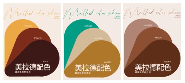 预热这么多天，ta终于来了!