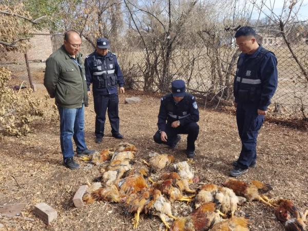 “奶凶奶凶”！宁夏贺兰山地区首次捕获！