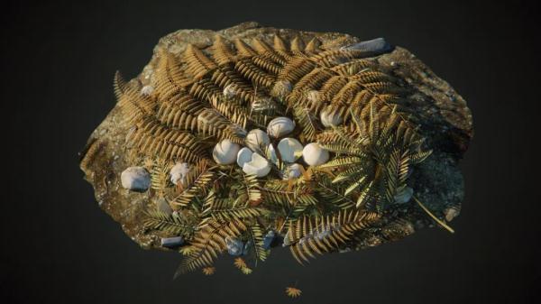 1.9亿年前恐龙蛋窝,被发现了→ 1.9亿年前恐龙蛋窝,被发现了→