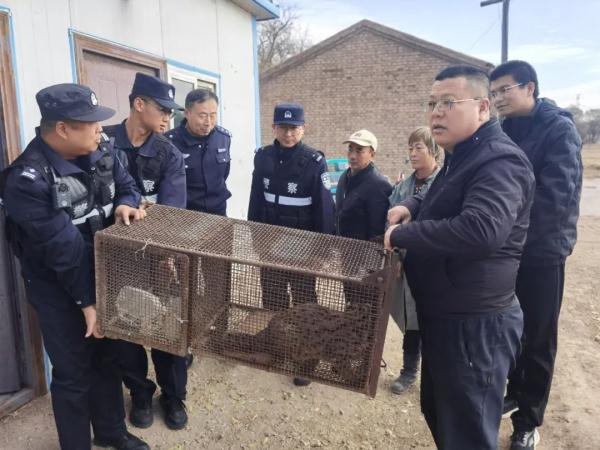 “奶凶奶凶”！宁夏贺兰山地区首次捕获！