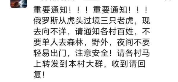 黑龙江一村民早上出门喂狗，发现只剩“狗头”......当地政府发布紧急通知！