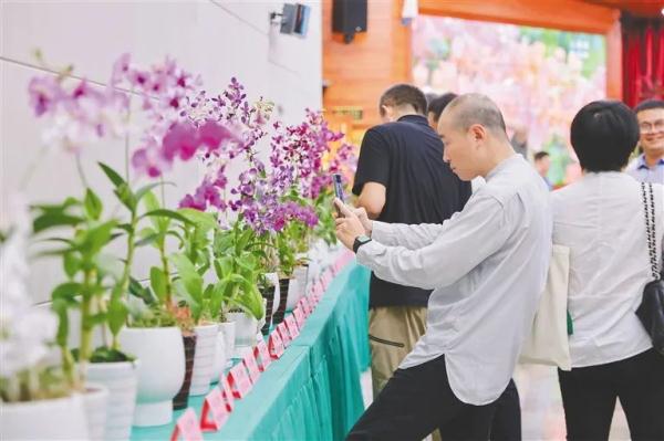 新品种+150！海南如何走好“花路”？