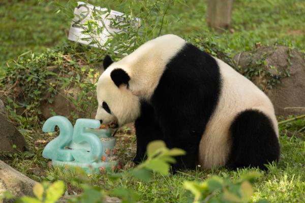 欢迎宝贝们回家！