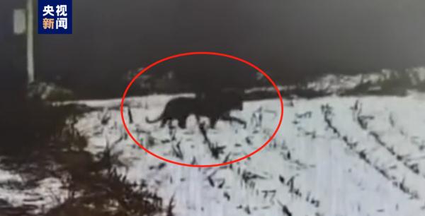 两地紧急通知！储备好生活物资！非必要不外出