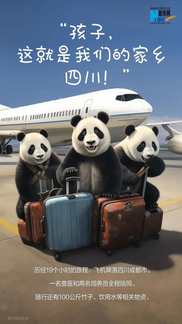 欢迎宝贝们回家！