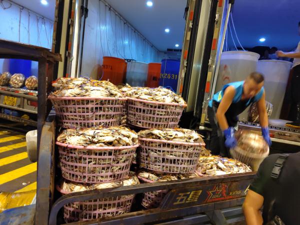 年中最低！许多人最爱的这种海鲜跌出“白菜价”…