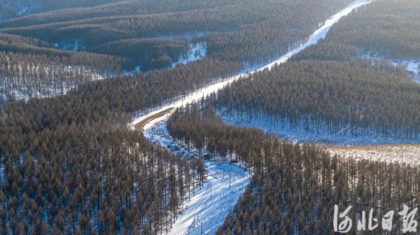 塞罕坝下雪啦！记者悄悄拍下这一幕……