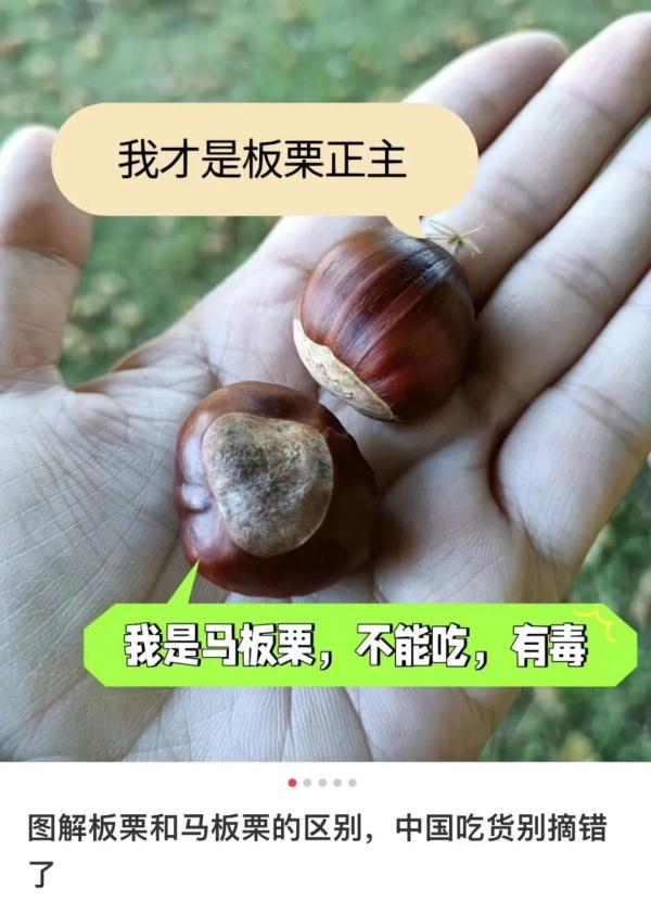 别捡别吃！毒性大！河南已发现