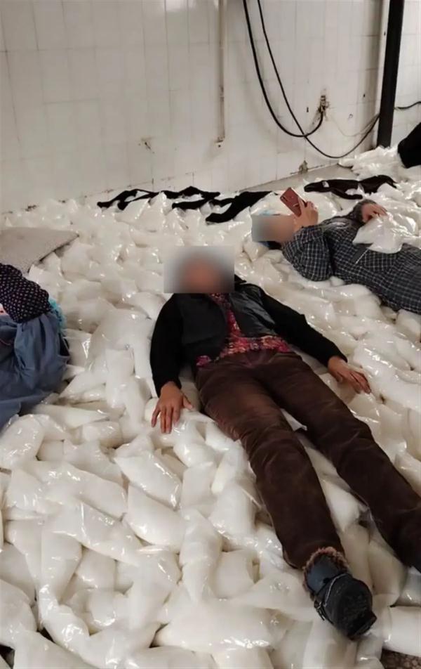 沈阳一食品厂工人将袋装果酱当床垫？市监局：情况属实