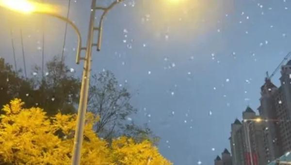 雪来啦！石家庄周末天气→