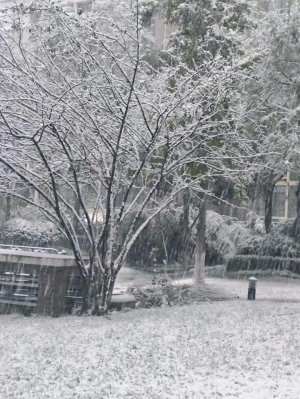 西安迎来今冬首场降雪 西安迎来今冬首场降雪