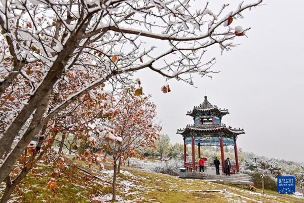 山东多地迎来今冬首场降雪