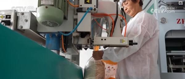 种粮“三变”!田地里“长出”新技术 助力现代循环农业高质量发展 种粮“三变”!田地里“长出”新技术 助力现代循环农业高质量发展