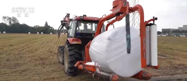 种粮“三变”!田地里“长出”新技术 助力现代循环农业高质量发展 种粮“三变”!田地里“长出”新技术 助力现代循环农业高质量发展