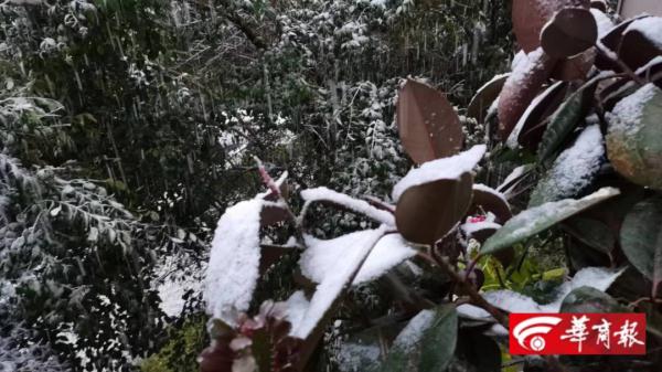 西安出现冬雷迎来初雪！陕西发布雷电、暴雪黄色预警；供暖准备咋样了？