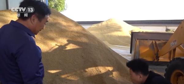 种粮“三变”!田地里“长出”新技术 助力现代循环农业高质量发展 种粮“三变”!田地里“长出”新技术 助力现代循环农业高质量发展