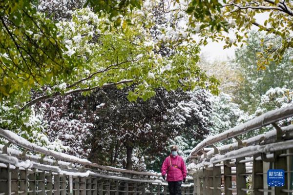 山东多地迎来今冬首场降雪