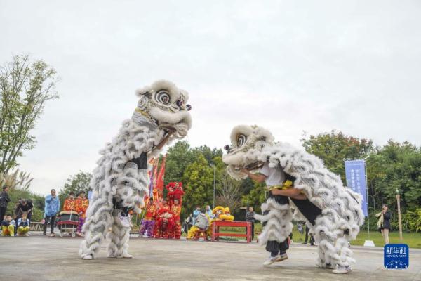 浙江温州：舞龙舞狮传承民俗