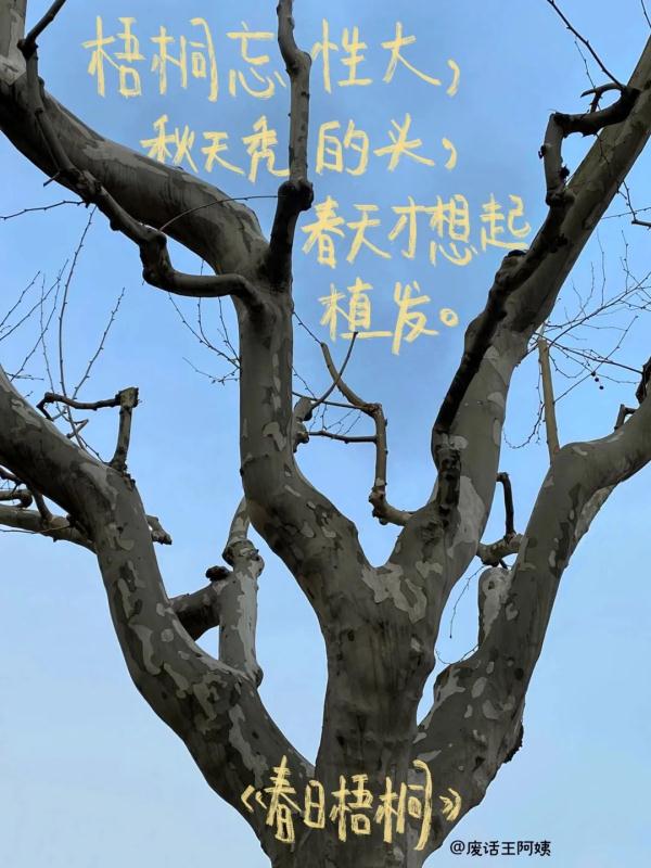 把生活写成诗，这位湖南大学生出书了！