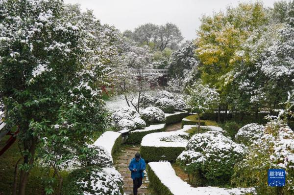 山东多地迎来今冬首场降雪