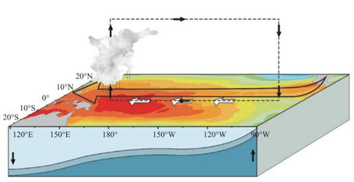 最新监测：厄尔尼诺事件已形成 最暖年纪录或再被打破