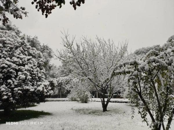 罕见！西安突发“巨响”，还有闪电暴雪，官方回应